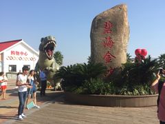 -碧海金沙