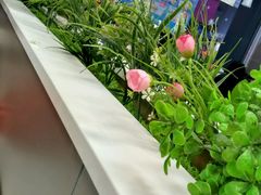 -华莱士·全鸡汉堡(湛江新华店)