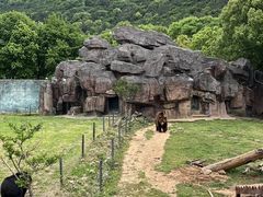 -无锡动物园·太湖欢乐园