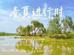 -东郊湿地公园