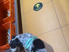 -MARSMART PETS火星宠物超市(1733店)