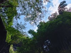 -藏龙百瀑风景区