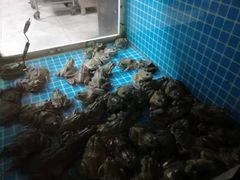 -石锅苗苗鱼(武汉首店)