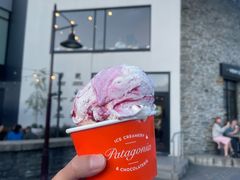 -Patagonia Chocolates(皇后镇店)