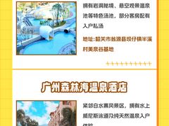 -佛冈森波拉度假区