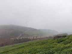 -东白山