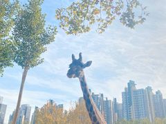 -天津市动物园