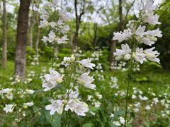 -上海吴淞炮台湾国家湿地公园
