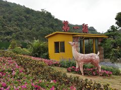 -东莞观音山旅游风景区