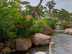 -罗红摄影艺术馆