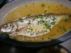 清蒸白鱼-京城小江南·北京烤鸭·江南土菜·白鱼(中关村店)
