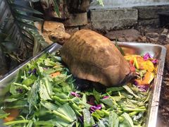 -昆明动物园