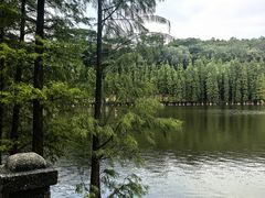 -三水森林公园