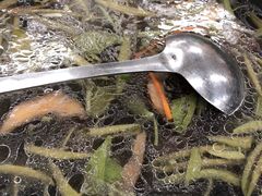 -协和菜馆(凤凰街店)