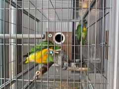 -观桥阁(锦溪店)