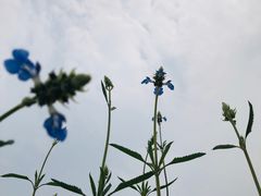 -九里河湿地公园