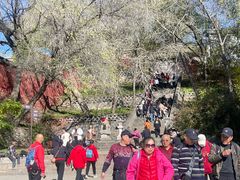 -五台山风景名胜区-罗睺寺