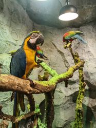 -Zoolung Zoolung动物主题公园(海信广场店)