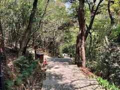 -苏州上方山国家森林公园