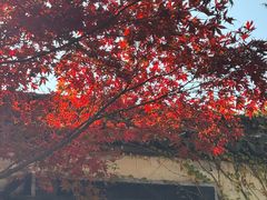 -无锡惠山寺