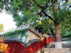 -千佛山风景名胜区
