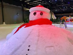 -宁波冰雪大世界(北仑区)