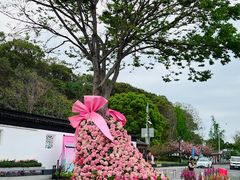 -苏州上方山国家森林公园