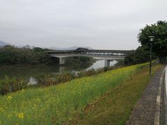 -福建鲤鱼洲酒店