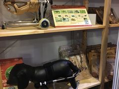 -香港会议展览中心演讲厅