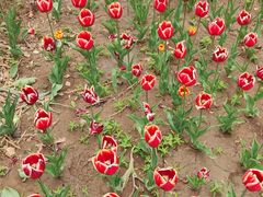 -廊坊文化艺术中心