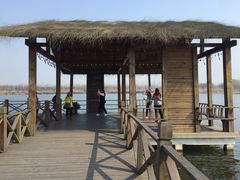 -溱湖国家湿地公园