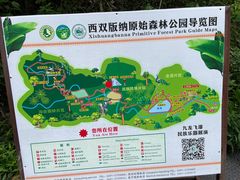 -西双版纳原始森林公园