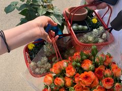 -三圣花乡旅游区