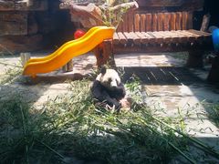 -石家庄市动物园