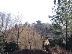 -绍兴镜湖国家城市湿地公园