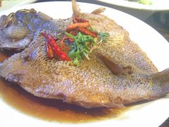 脆鳞鲈鱼-七菜馆·东北菜·蒸饺(文体路店)