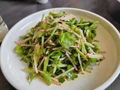 生拌芹菜苗-紫泥369粗粮季(四牌楼店)
