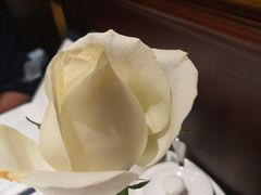 -COVA(新天地Xintiandi店)