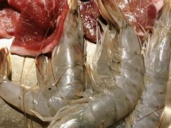 -西塔金胖胖首尔自助烤肉·街头小吃大排档