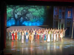 -顺德演艺中心大剧院