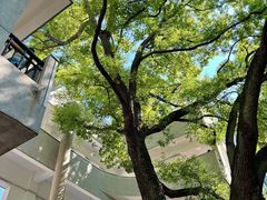 -湖北美术学院(昙华林校区)