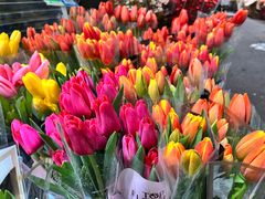 -循礼门鲜花花市(武汉循礼门店)