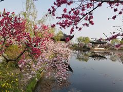 -无锡蠡湖国家湿地公园-蠡园