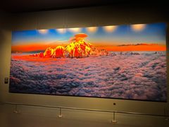 -罗红摄影艺术馆