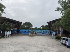 -广东惠东海龟国家级自然保护区