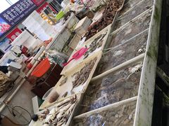 -毕家疃综合市场