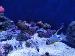 -成都浩海立方海洋公园