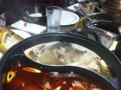 -火炉火自助餐(枫蓝国际店)
