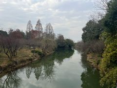 -西溪国家湿地公园