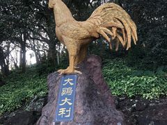 -海口火山口国家地质公园